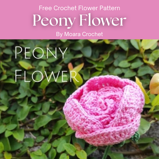 Free Crochet Flower Pattern - Peony Flower