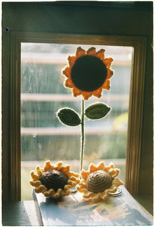 5 Reasons to Choose Crochet Flowers Over Fresh Blooms