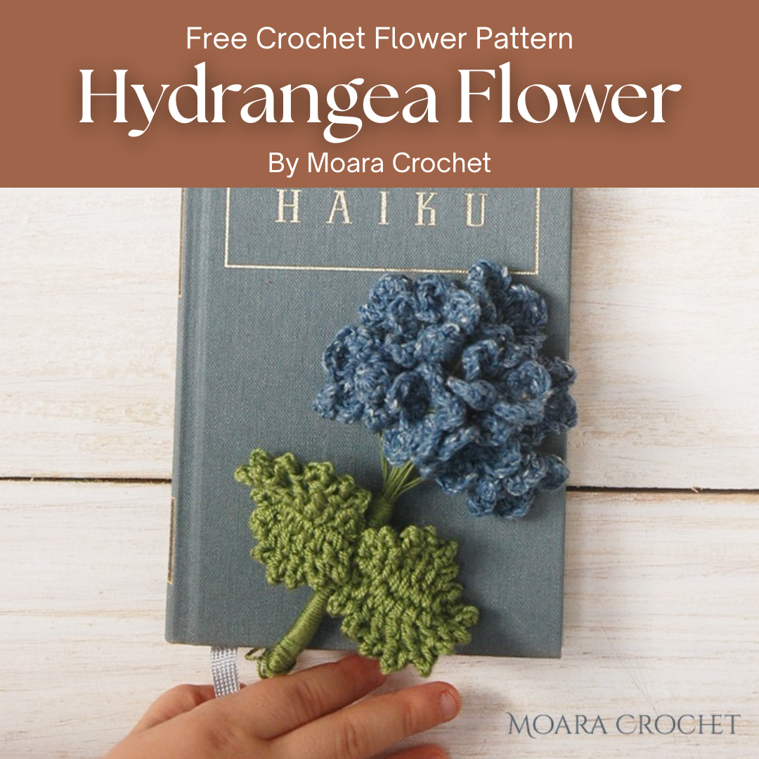 Hydrangea Flower
