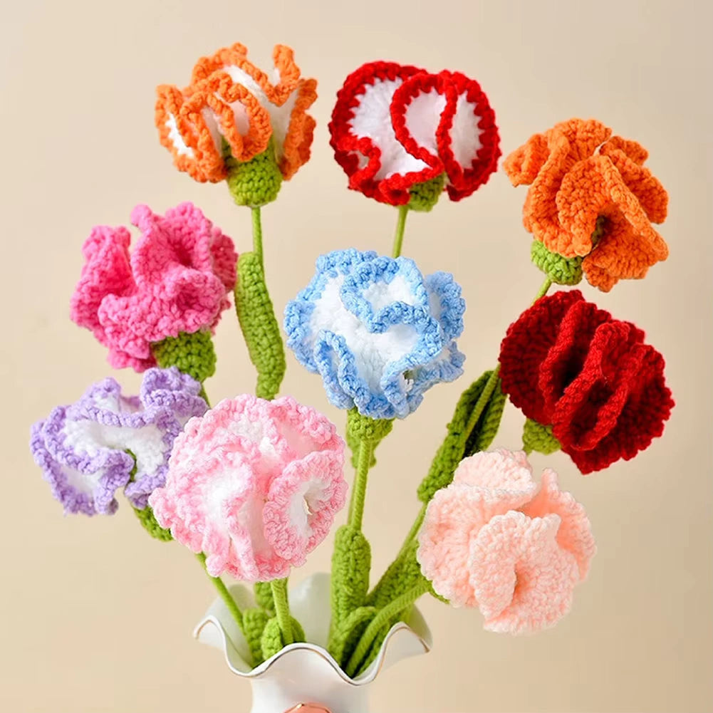 1pc Single Carnations - Multiple Colour Carnations