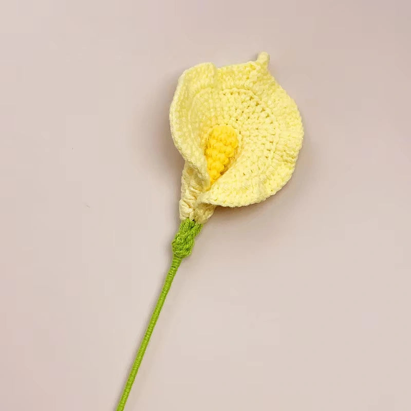 1pc Single Lilies - Multiple Colour Lilies