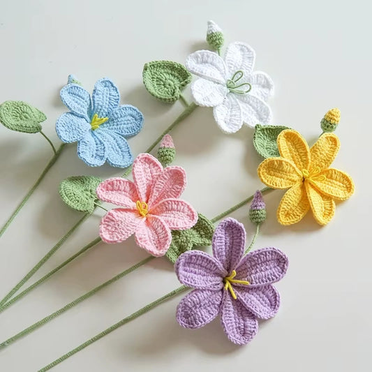 1pc Single Paulownias - Multiple Colour Paulownias
