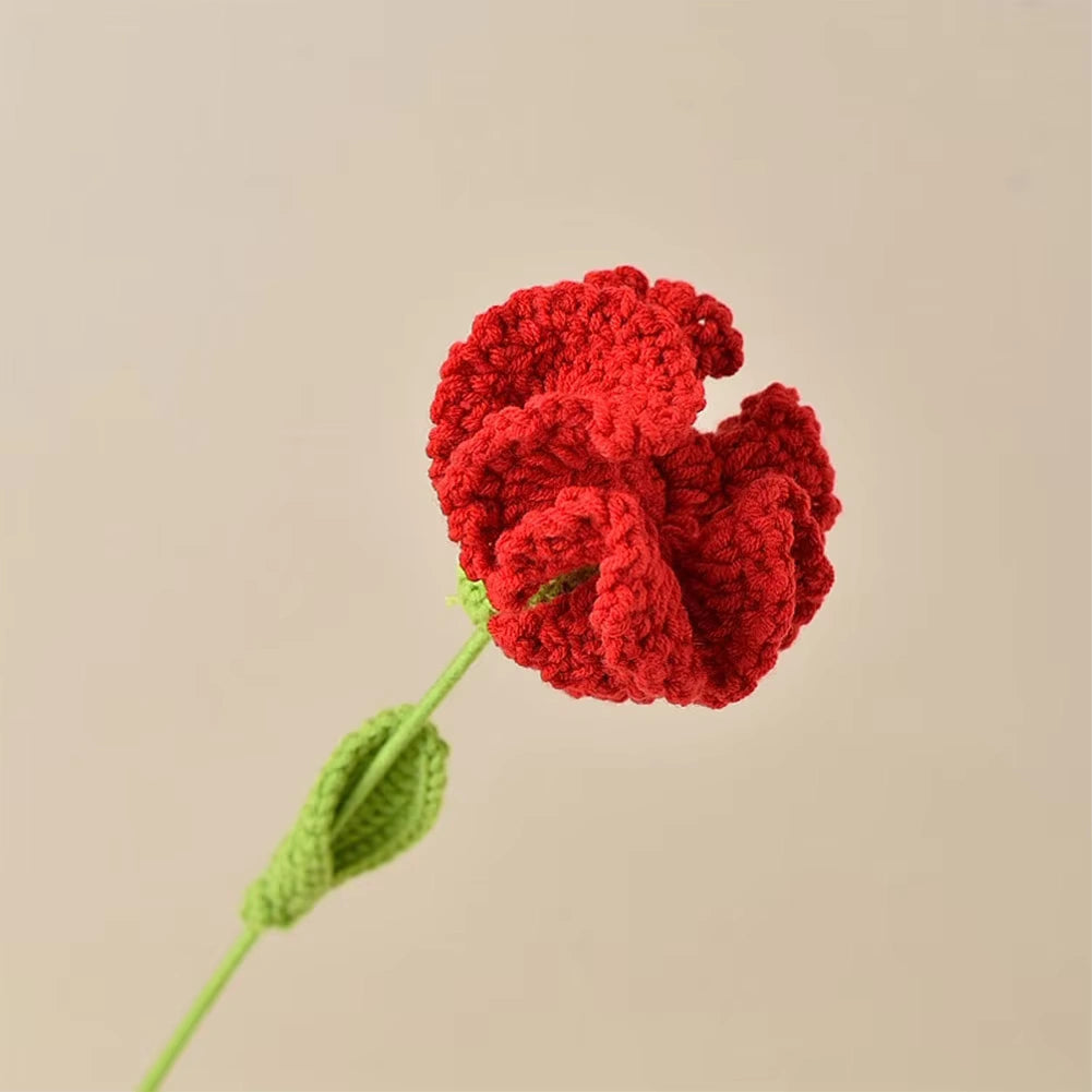 1pc Single Carnations - Multiple Colour Carnations